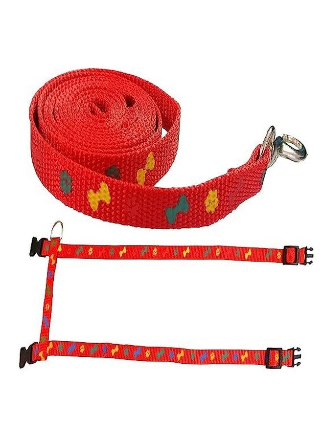 طقم حزام من النايلون للقطط الصغيرة والحيوانات الأليفة الصغيرة | طوق حزام من النايلون | حزام تدريب القطط (مطبوع عليه مخلب أحمر) - Image 3