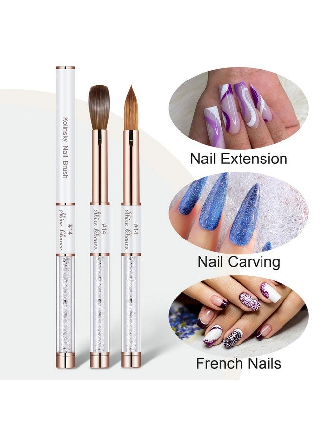 Shine Chance Acrylic Nail Brush Size 14, 100% Real Kolinsky Art Nail Brush For Acrylic Powder Application, Handmade Women Manicure Nail Extension Tool For Professional Diy Home Salon And Beginners - Image 2