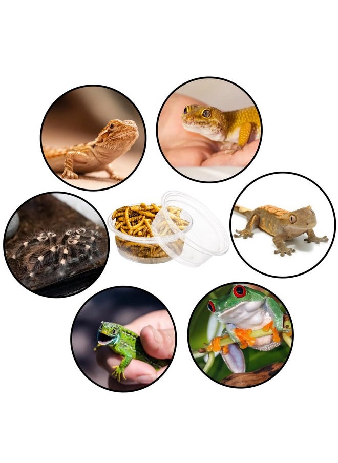 TOPZEA - 500 Pack Small Gecko Food And Water Cups, 0.5 Oz Plastic Reptile Feeding Dish Feeder Bowls For Lizard Crested Gecko And Small Pets, Ledge Accessories - Image 1