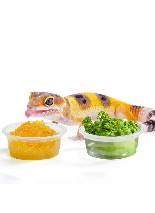 TOPZEA - 500 Pack Small Gecko Food And Water Cups, 0.5 Oz Plastic Reptile Feeding Dish Feeder Bowls For Lizard Crested Gecko And Small Pets, Ledge Accessories - Image 1