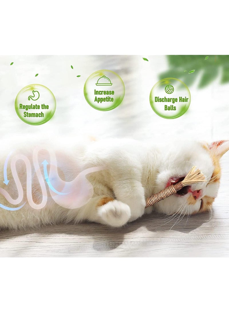 روك بو 3 قطعة لعبة القط مضغ ، مضغ القط العدوانية عصا ، لعبة سيلفرفين مضغ عصا ، لعبة كبيرة الحجم القط مضغ - Image 4