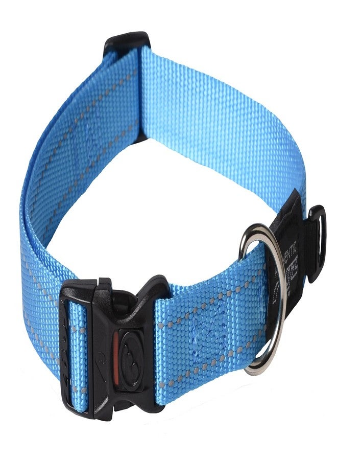 Rogz Reflective Dog Collar for Large Dogs, Adjustable from 13-22 inches, Turquoise - Image 1