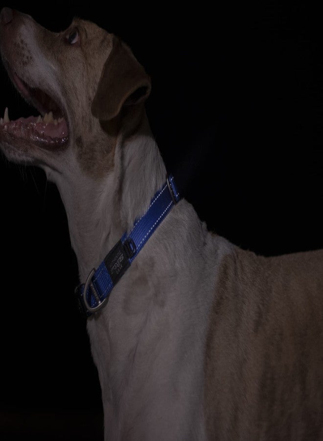 Rogz Reflective Dog Collar for Large Dogs, Adjustable from 13-22 inches, Turquoise - Image 4