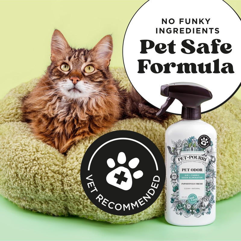 Poo-Pourri Pet-Pourri Pawsitively Fresh Pet Odor Deodorizer Spray, 16 Fl Oz, Up to 800 Uses, Air + Fabric Odor Remover with Essential Oils & Plant Based Ingredients, Vet Recommended, Pineapple, Jasmine & Pear - Image 2
