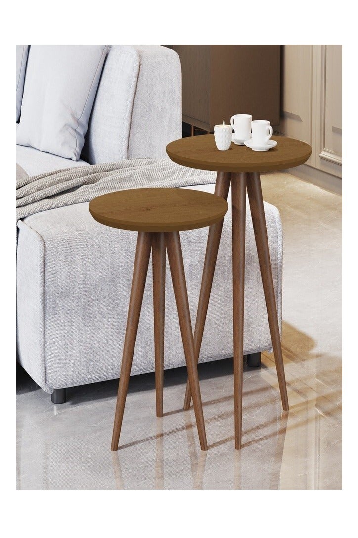 Pilati Set coffe Table 2 Pcs Natural Brown 40*45  - Image 1