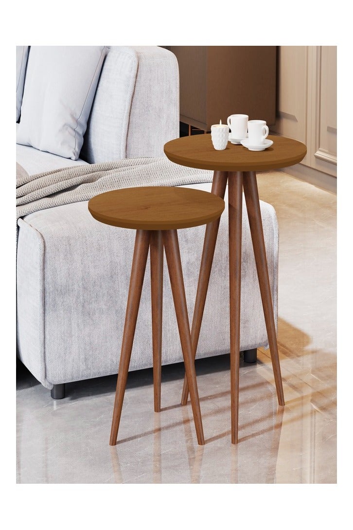 Pilati Set coffe Table 2 Pcs Natural Brown 40*45  - Image 2