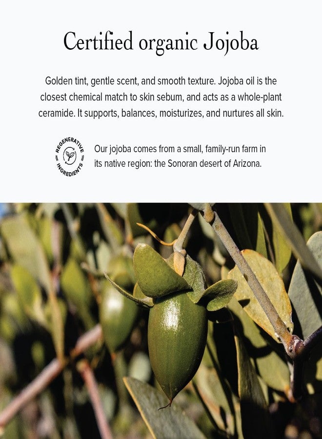 evanhealy Whipped Neroli Frankincense Body Butter | Organic Shea with Silky Plant Oils to Soften & Moisturize All Skin | For Face and Body - Image 5