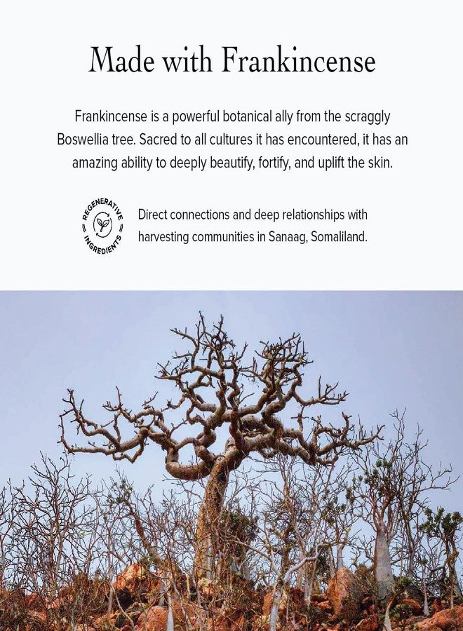 evanhealy Whipped Neroli Frankincense Body Butter | Organic Shea with Silky Plant Oils to Soften & Moisturize All Skin | For Face and Body - Image 4