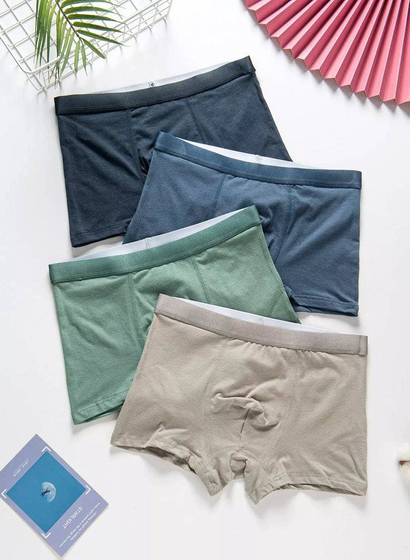 Boys 4pcs Boxer Brief - Image 1