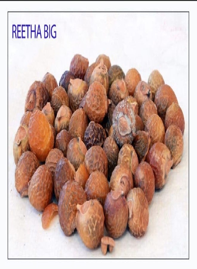 KaratKing Whole Reetha Nuts For Hair Natural soap nuts Kunkudukayalu Chemical free reeta (1 kg (Hand Picked)) - Image 4