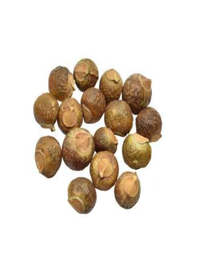 KaratKing Whole Reetha Nuts For Hair Natural soap nuts Kunkudukayalu Chemical free reeta (1 kg (Hand Picked)) - Image 2