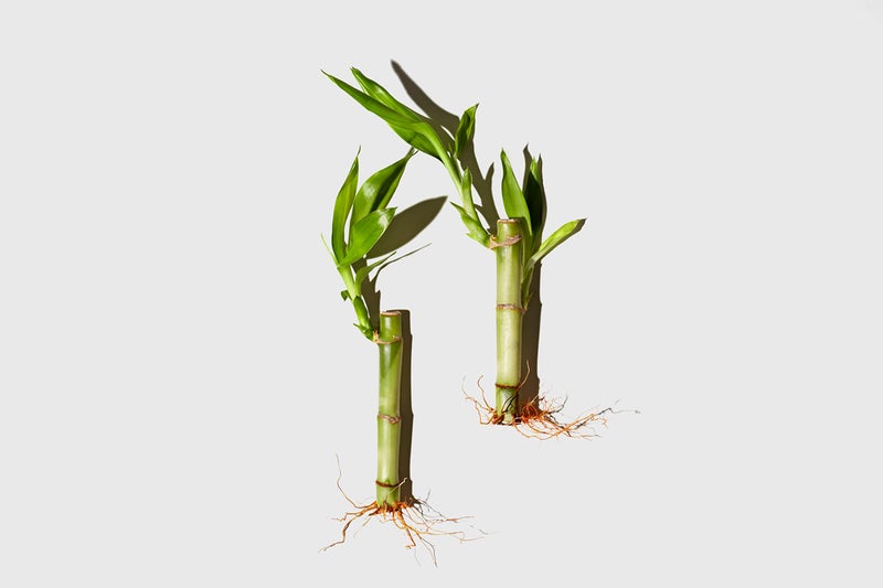 LATHER Bamboo Silk Foaming Cleanser - Foaming Face Wash for Oily & Acne Prone Skin - Gentle Exfoliating Face Scrub - 4 Fl Oz - Image 4