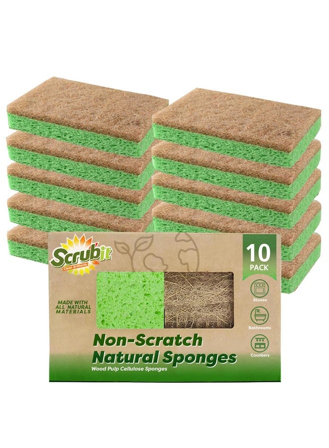 SCRUBIT Natural Sponge By Scrubit 10 Pack Biodegradable Cellulose Natural Sponges For Dishes With A Tough Eco Friendly Scouring Pad For Kitchen And Bathroom Non Stick Plant Based Compostable Sponges - Image 1