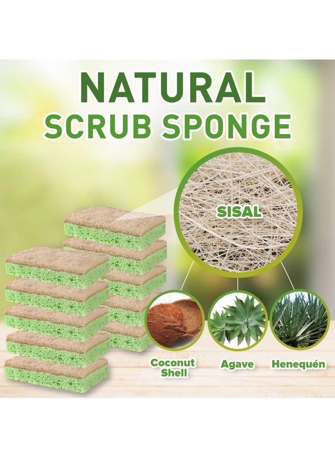 SCRUBIT Natural Sponge By Scrubit 10 Pack Biodegradable Cellulose Natural Sponges For Dishes With A Tough Eco Friendly Scouring Pad For Kitchen And Bathroom Non Stick Plant Based Compostable Sponges - Image 2