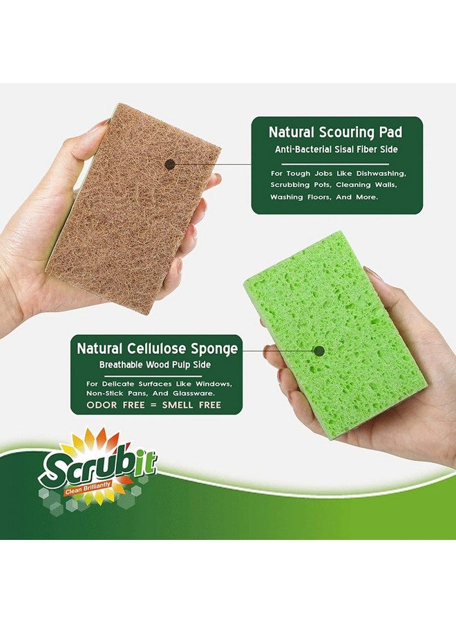 SCRUBIT Natural Sponge By Scrubit 10 Pack Biodegradable Cellulose Natural Sponges For Dishes With A Tough Eco Friendly Scouring Pad For Kitchen And Bathroom Non Stick Plant Based Compostable Sponges - Image 3
