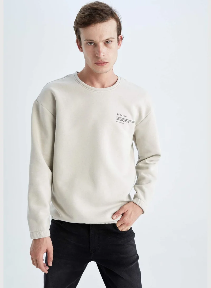 DeFacto Man Boxy Fit Crew Neck Long Sleeve Knitted Sweat Shirt