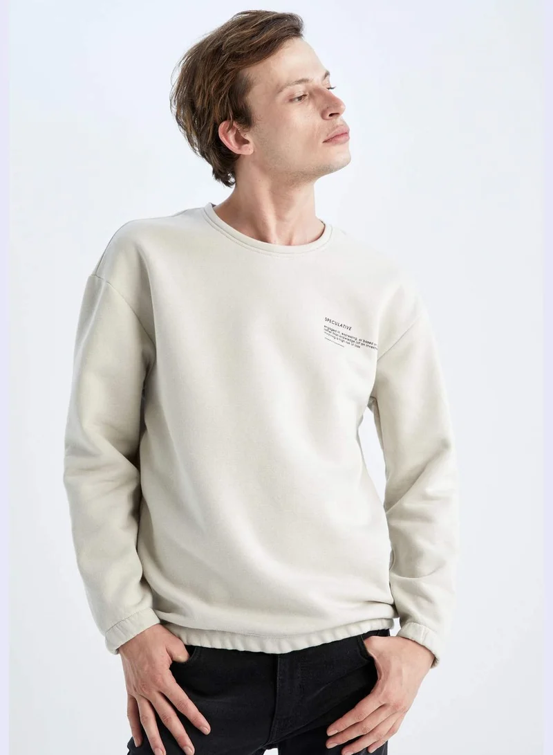 DeFacto Man Boxy Fit Crew Neck Long Sleeve Knitted Sweat Shirt