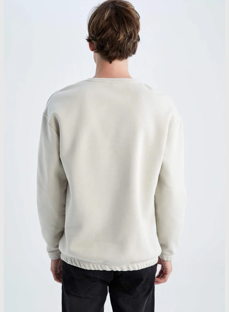 DeFacto Man Boxy Fit Crew Neck Long Sleeve Knitted Sweat Shirt