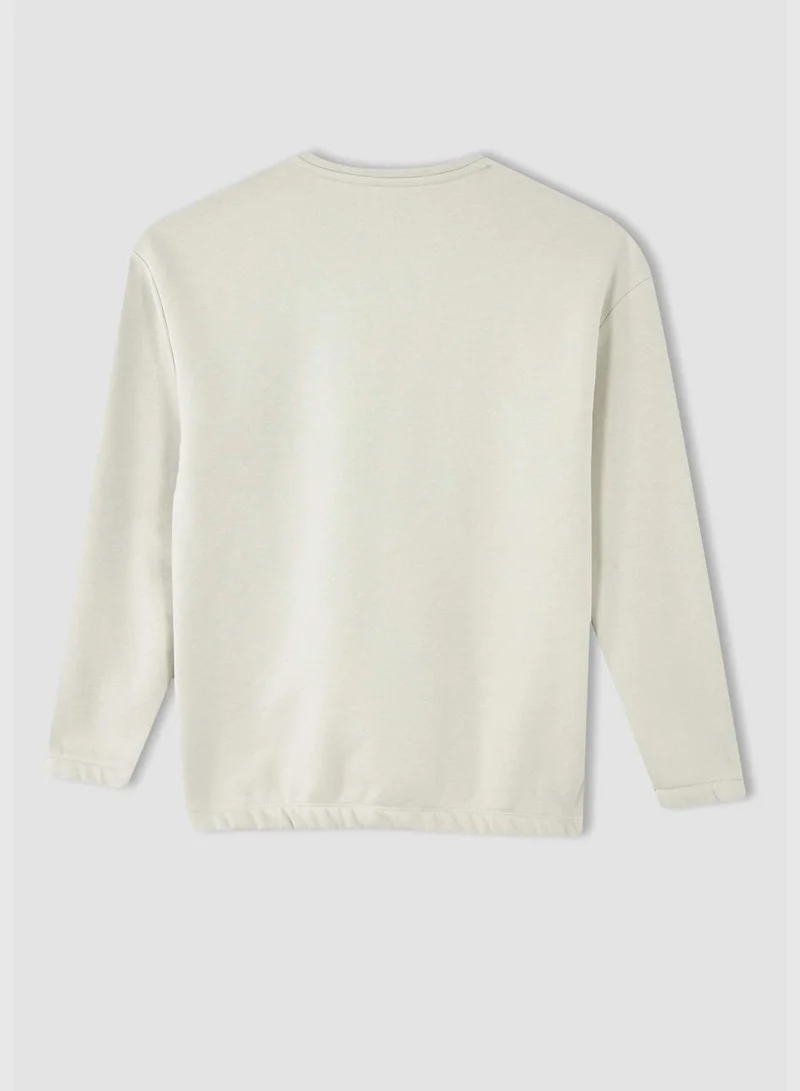 DeFacto Man Boxy Fit Crew Neck Long Sleeve Knitted Sweat Shirt