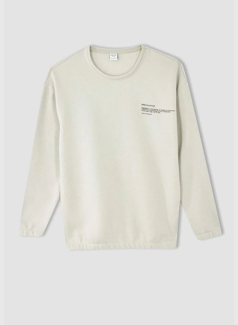 DeFacto Man Boxy Fit Crew Neck Long Sleeve Knitted Sweat Shirt