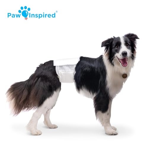 Paw Inspired Disposable Male Dog Wraps, Belly Band for Dogs | Disposable Dog Diapers | Belly Bands for Male Dogs (12 Count, Medium) - Image 3