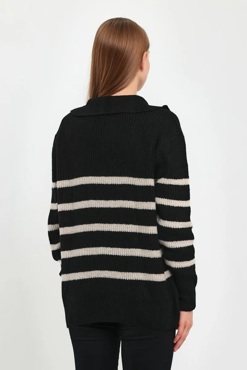 الكسندر جاردي Zippered Turtleneck Knit Sweater (B23-5802)