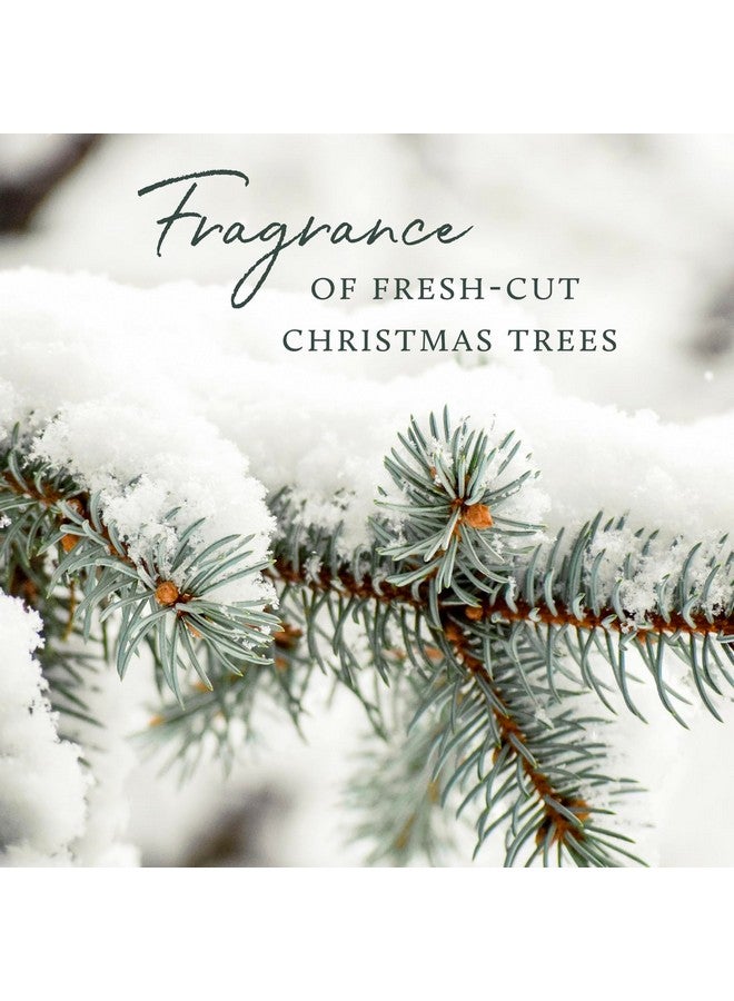 تايمز صابون ثايمز فرايزر فير - صابون لليدين والجسم برائحة الصنوبر (5.5 أونصة) - Image 5