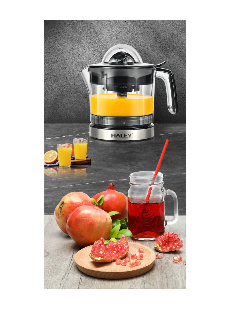 Haley - Wtrtr Stainless Steel Citrus Juicer with Low Noise Motor - Easy Clean Up - No Drips (1 year Warranty) - Image 1