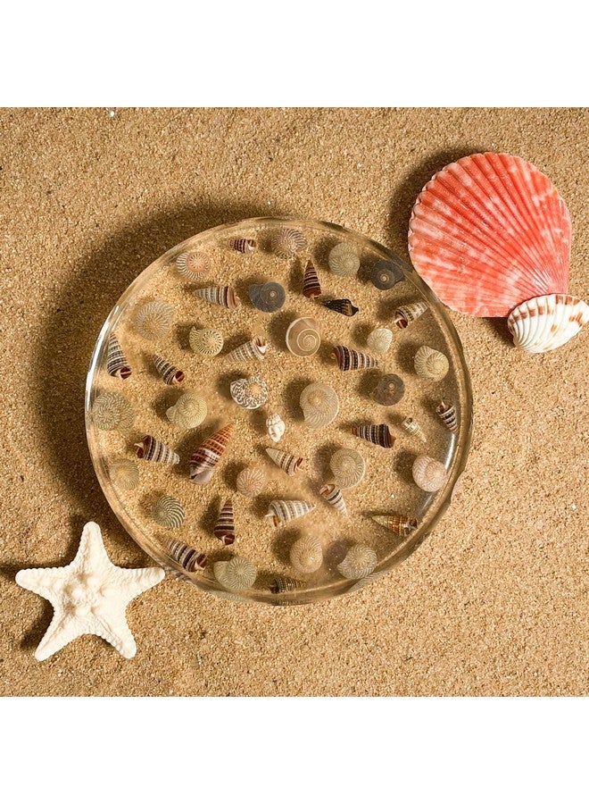 IndionArt Seashell Serenity Resin Thick Drink Coasters Ocean Theme Home Decor (Single, Round) - Image 2