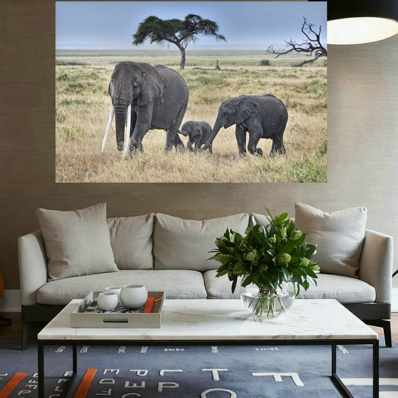 50249 Selected Animals Selected Wildlife Gallery Pographers Collection Pictures Light And Shadow Beauty