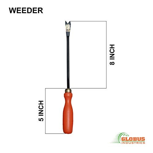 GLOBUS 116 Garden Tool KIT Pack of 6 PCS (Transplanter, Big Trowel, Weeder Fork, Weeder, Cultivator KHURPA 3") - Image 3