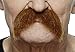 Mustaches Self Adhesive Fake Mustache Novelty Walrus False Facial Hair for Adults Costume Accessory for Halloween Ginger Color - Image 3