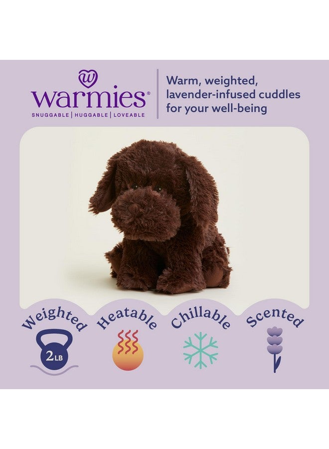 Warmies دمى محشوة دافئة وقابلة للتسخين بالميكروويف، لابرادور شوكولاتة - دمية محشوة مدفأة للدفء والراحة - ألعاب محشوة ناعمة لطيفة للبالغين والأطفال (الأولاد، البنات، الرضع والأطفال الصغار) - Image 2