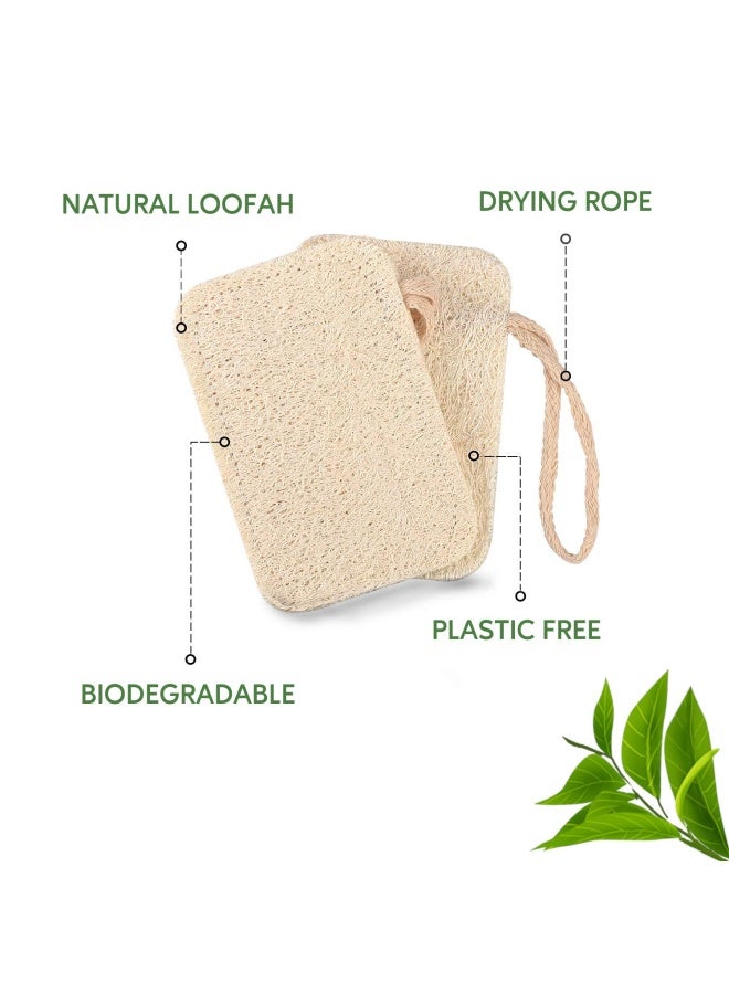 eplanita Natural Dishwashing Sponges (Pack of 6), Kitchen Eco Scrub Scourer, Natural Loofah Plant, Biodegradable and Zero Waste - Image 3