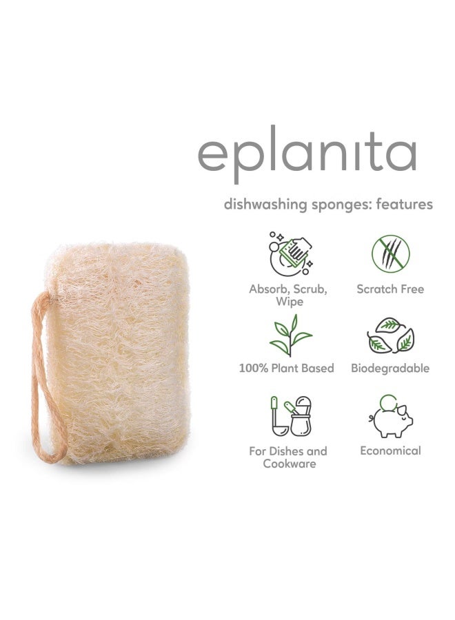 eplanita Natural Dishwashing Sponges (Pack of 6), Kitchen Eco Scrub Scourer, Natural Loofah Plant, Biodegradable and Zero Waste - Image 2