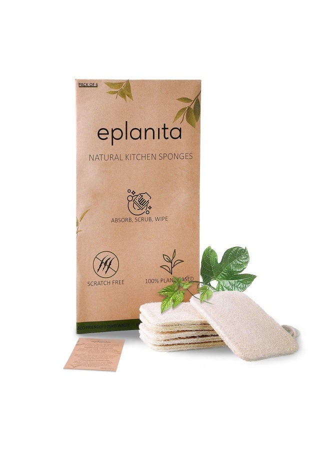 eplanita Natural Dishwashing Sponges (Pack of 6), Kitchen Eco Scrub Scourer, Natural Loofah Plant, Biodegradable and Zero Waste - Image 1