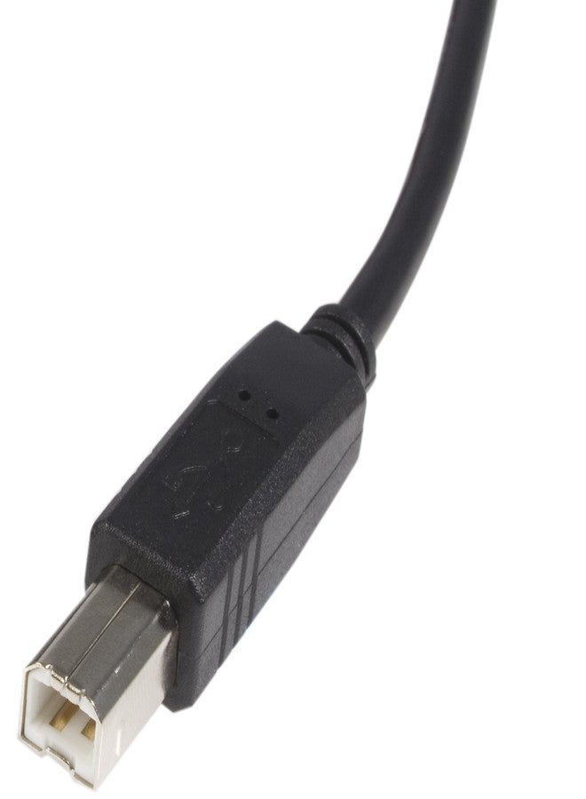 StarTech 1FT HIGH SPEED USB 2.0 CABLE . - Image 3