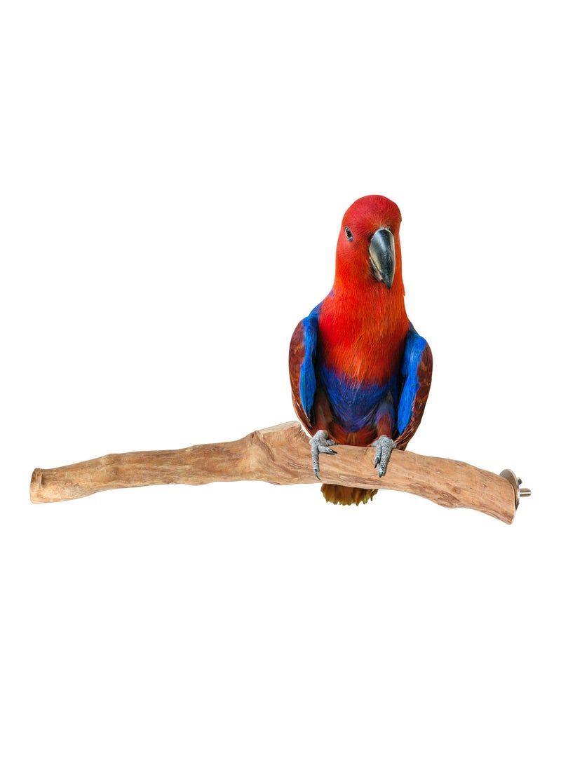 CHEWY BEAK wooden bird perch for large parrots - Image 1