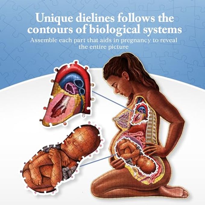 Genius Games Pregnant Mother Anatomy Jigsaw Puzzle | 488-Piece Science Accurate Adult Puzzle | Educational and Entertaining 3ft x 2ft Poster Size Puzzle | Ideal Gift for Mothers, Educators & Medical Professionals - Image 3