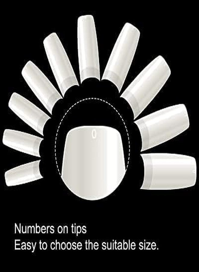 Brille Bee Acrylic Nail Tips for Nail Art, Assorted Sizes for extension Manicure Set 500 pcs with box (9N FRENCH) - Image 3