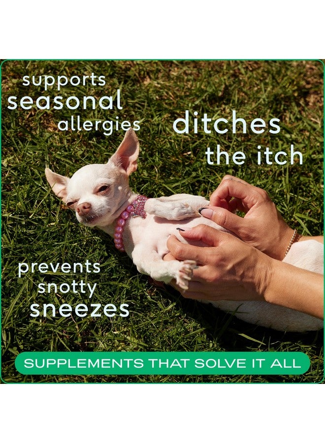 Native Pet Dog Allergy Chews - Dog Allergy Relief with Probiotics and Colostrum for Itchy Skin Relief to Support Seasonal Allergy and Healthy Immune System - All Natural Anti-Histamine - 120 Chews - Image 2