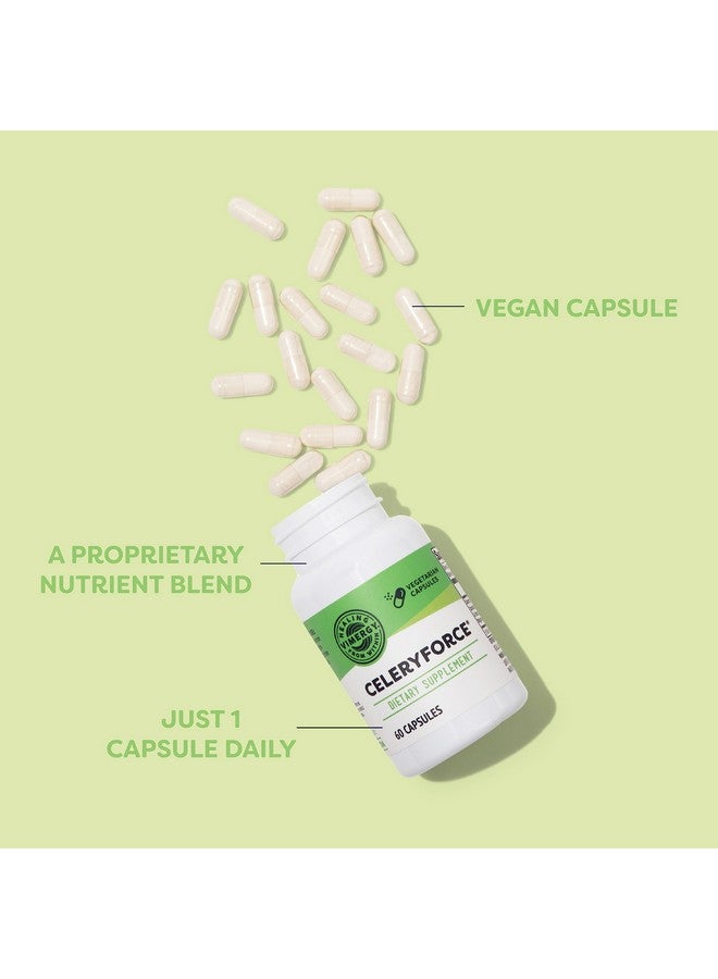 Vimergy Celeryforce - Nutrients and Amino Acids - Supports Your Wellness Routine* - Kosher, Vegan & Gluten-Free - 60 Capsules - Image 3