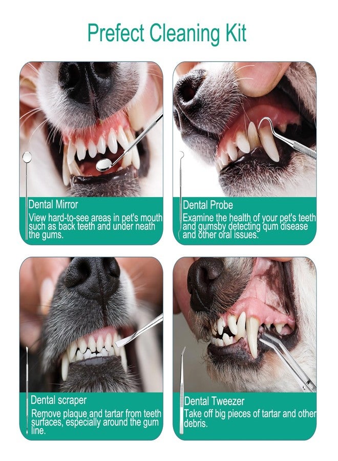 ORIA Dog Plaque Remover for Teeth, Ultrasonic Dog Teeth Cleaning Kit with LED Light, 5 Modes, Waterproof & Rechargeable Pet Tooth Cleaner for Tartar and Stains, Dogs and Cats - Image 5