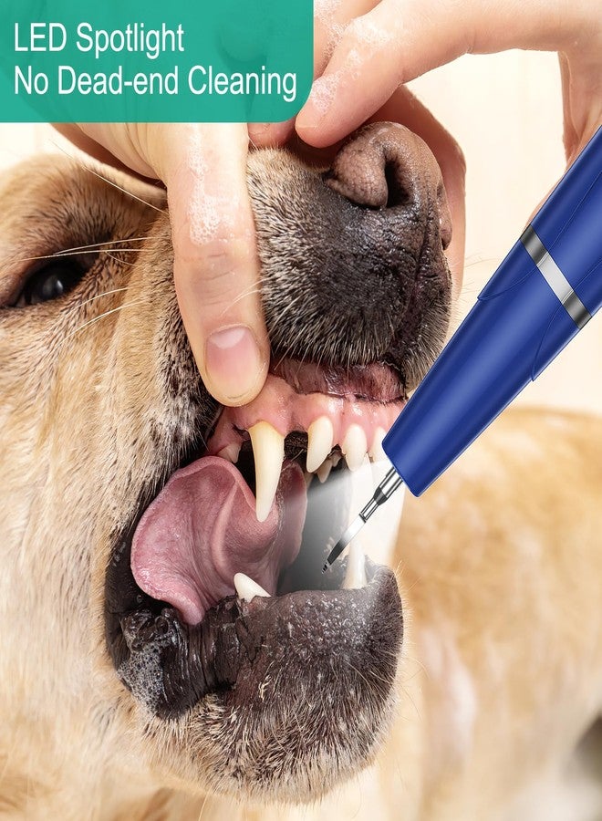 ORIA Dog Plaque Remover for Teeth, Ultrasonic Dog Teeth Cleaning Kit with LED Light, 5 Modes, Waterproof & Rechargeable Pet Tooth Cleaner for Tartar and Stains, Dogs and Cats - Image 3
