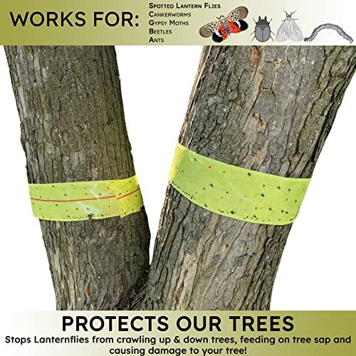 W4W, Spotted Lantern Fly Tree Trap - 4 Rolls (30 Feet Each Roll) - Lanternfly Tree Tape Creates a Sticky Barrier Protecting Trees from Harmful Insects - Non-Toxic - Image 2