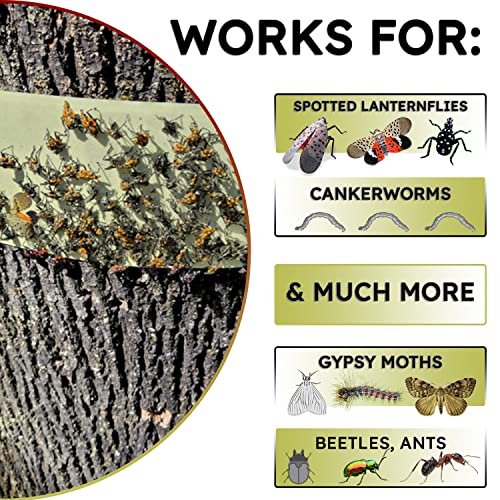 W4W, Spotted Lantern Fly Tree Trap - 4 Rolls (30 Feet Each Roll) - Lanternfly Tree Tape Creates a Sticky Barrier Protecting Trees from Harmful Insects - Non-Toxic - Image 4