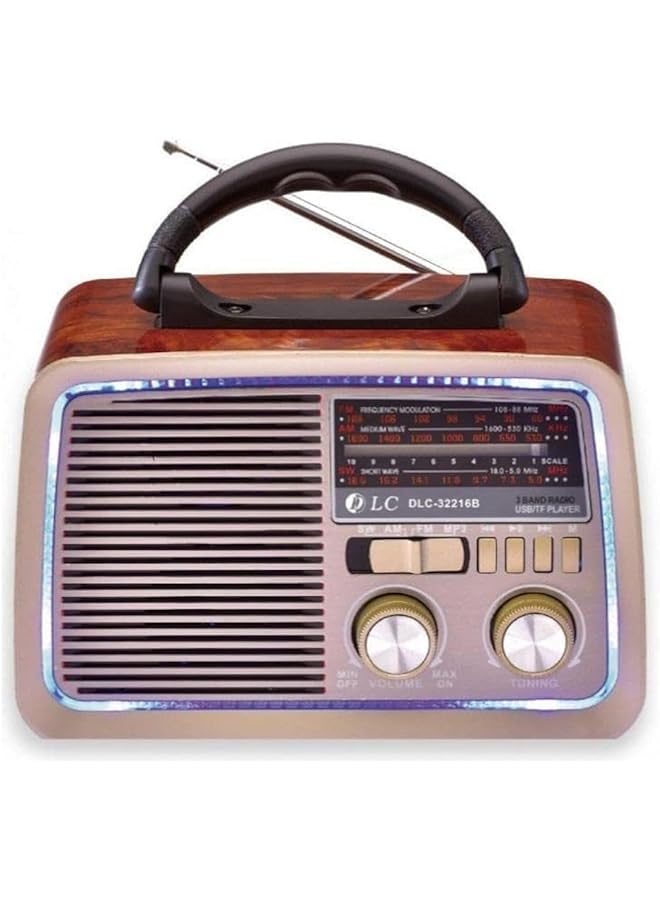 DLC Usb Mini Radio Hi Fi Speaker With Bluetooth And Disco Light 2 Years