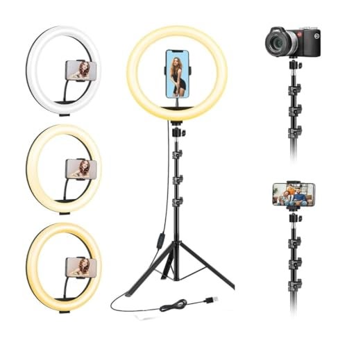 Boltove 10-Inch LED Ring Light with Adjustable Stand Perfect for Photography, Makeup, and Live Streaming Dimmable Brightness, Colour Temperature Control Light Photography Tripod - Image 1