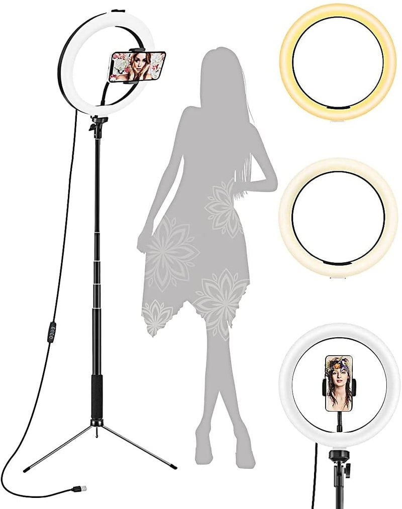 Boltove 10-Inch LED Ring Light with Adjustable Stand Perfect for Photography, Makeup, and Live Streaming Dimmable Brightness, Colour Temperature Control Light Photography Tripod - Image 3