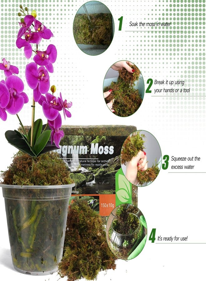 Doter Dried Forest Moss for Plants (5 qt / 1 Pack), Sphagnum Potting Moss for Various Plants, Including Orchids, Carnivorous Plants, Succulents, Garden Flowers, and Reptiles - Image 4